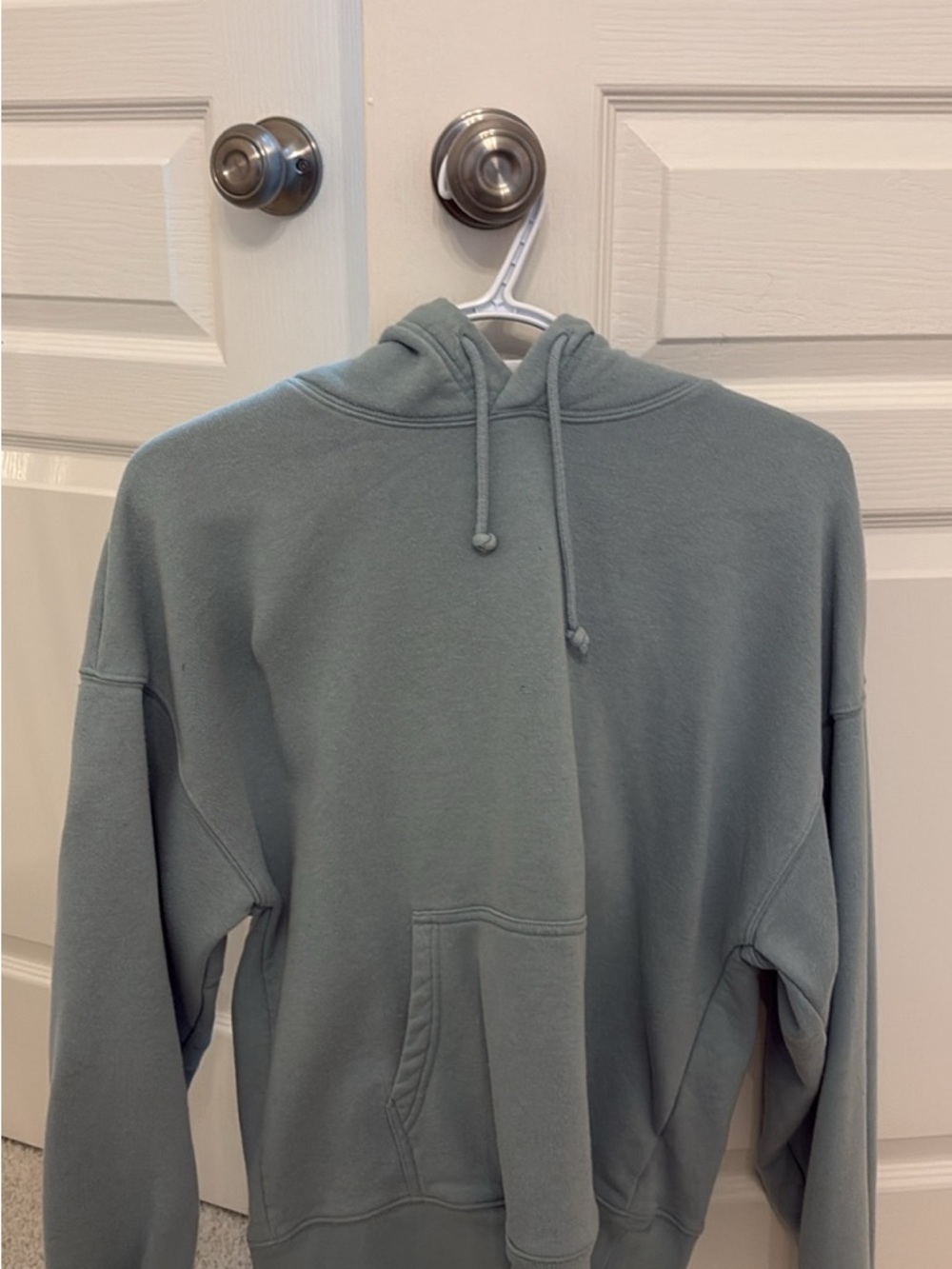 Aritzia Sage Green Hoodie Sweater